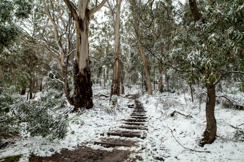 Pinnicale Reserve